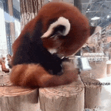 NkllSQ.gif