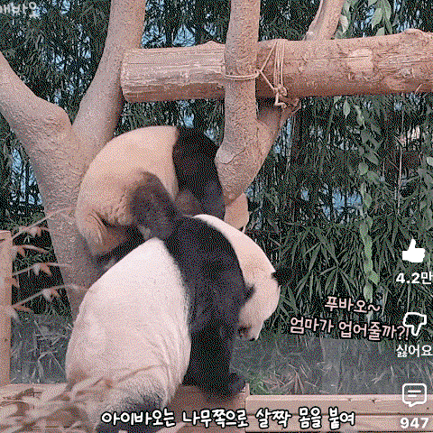 NlpGRo.gif