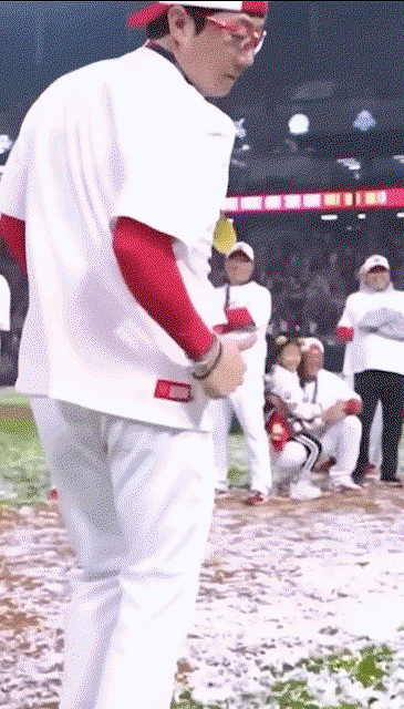 NpAKBs.gif