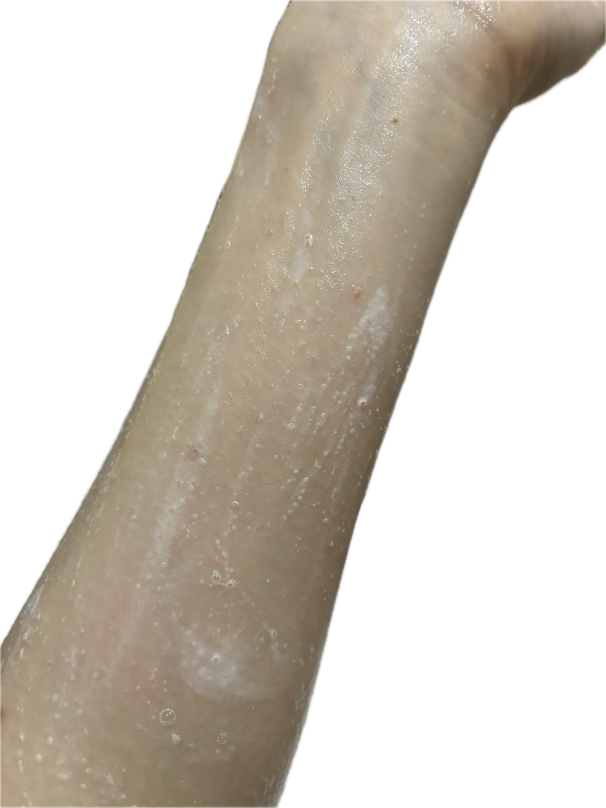 NpFchT