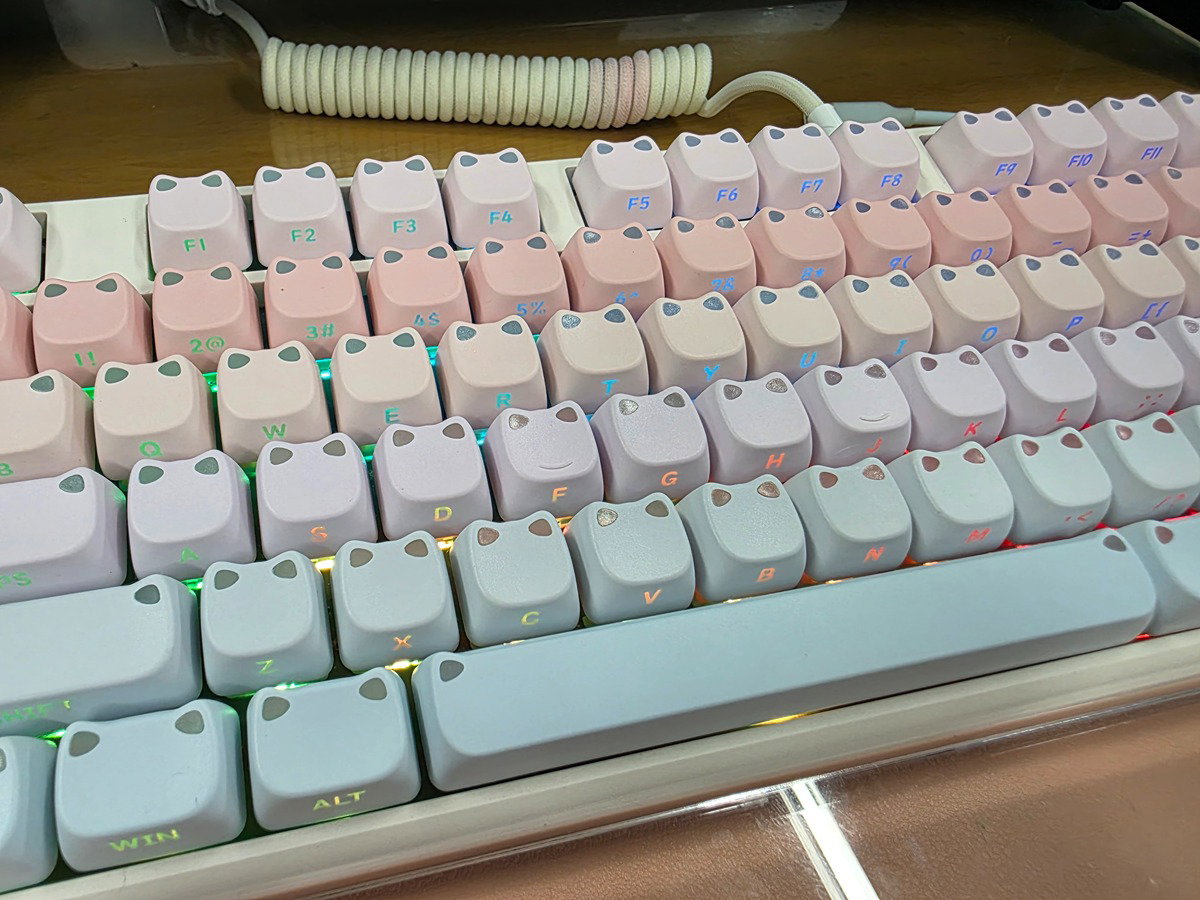 NpTTeb