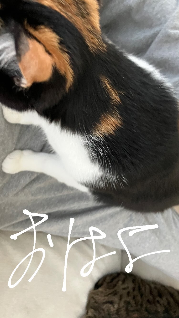 NrAyWR