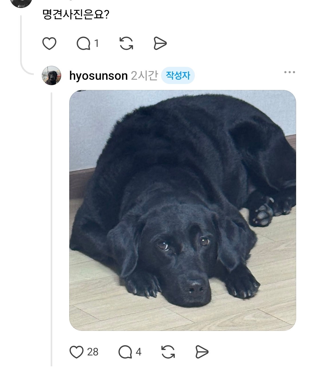 NtHjFl