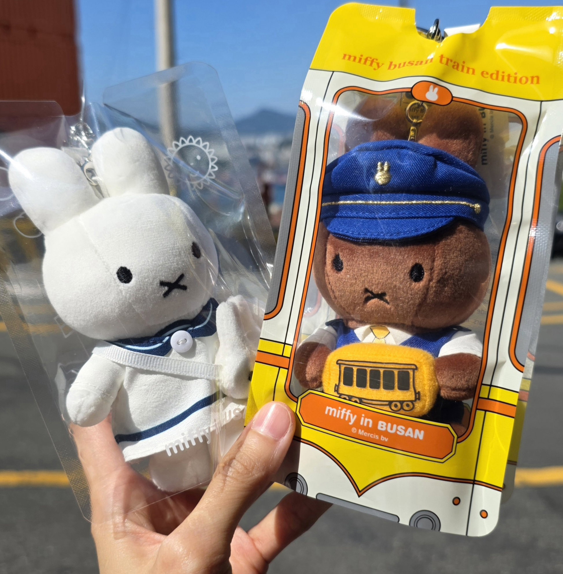 NvuVJP