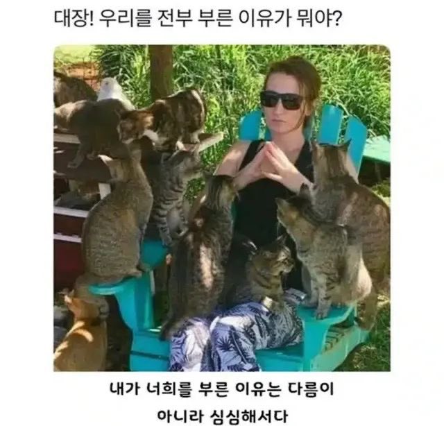 OAMama