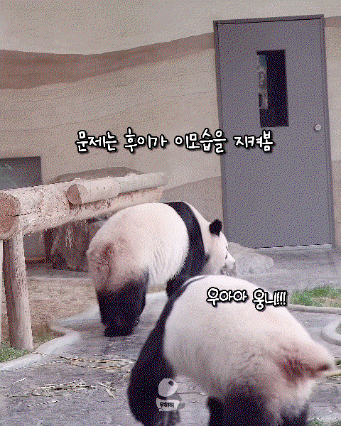OBCaNC.gif