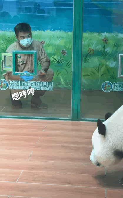 OCDqKz.gif