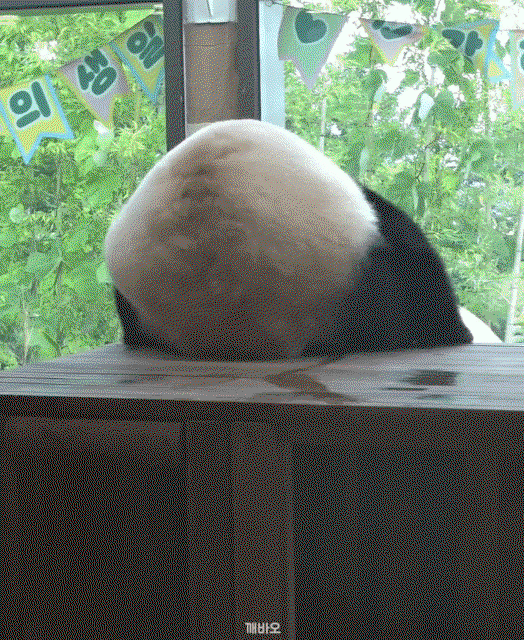 OElGUO.gif