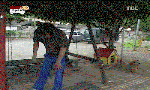OFxCuG.gif