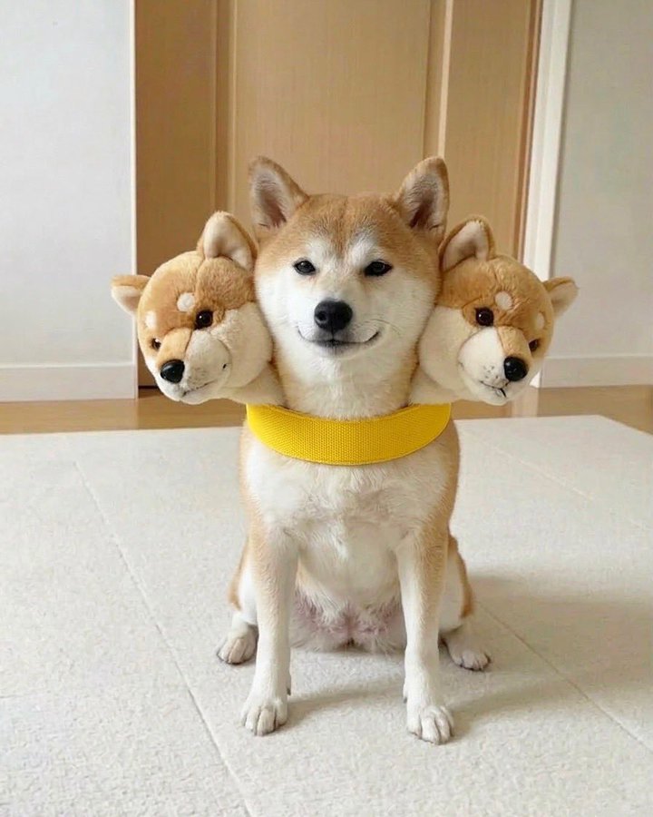 OHXYMM