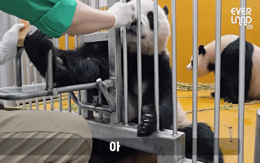 OKtQPG.gif