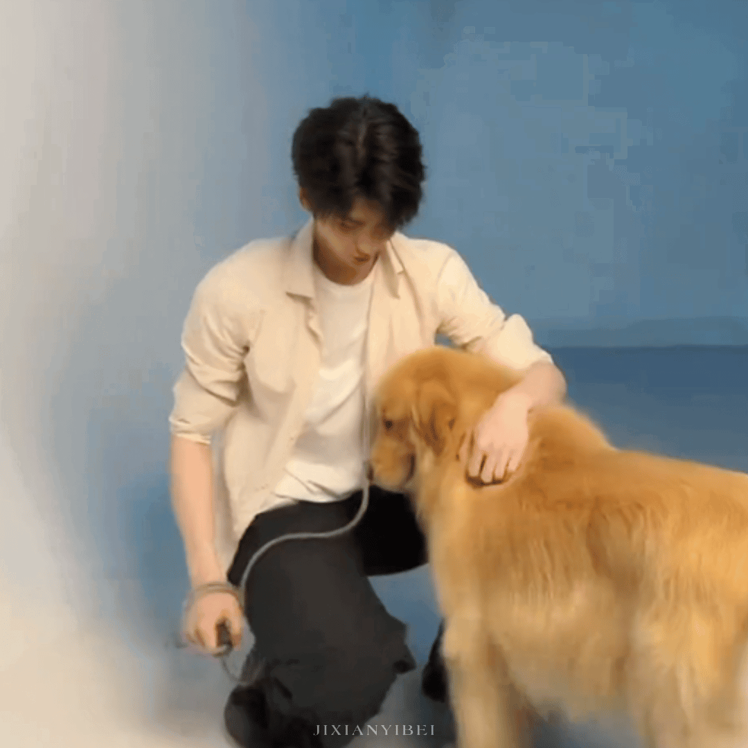 OLFoKr.gif