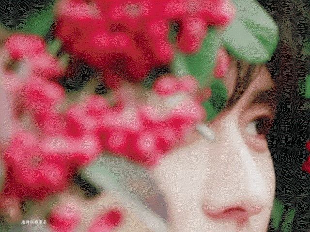 OLasCV.gif