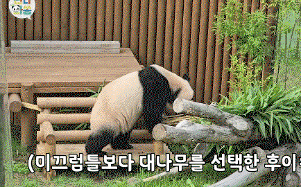 OQIzsD.gif