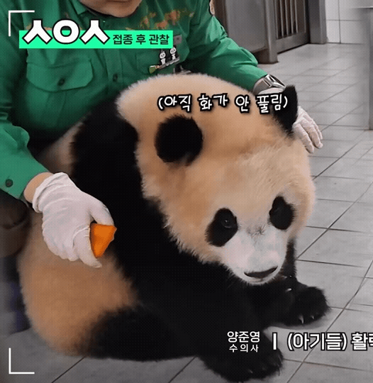 OSGyeO.gif