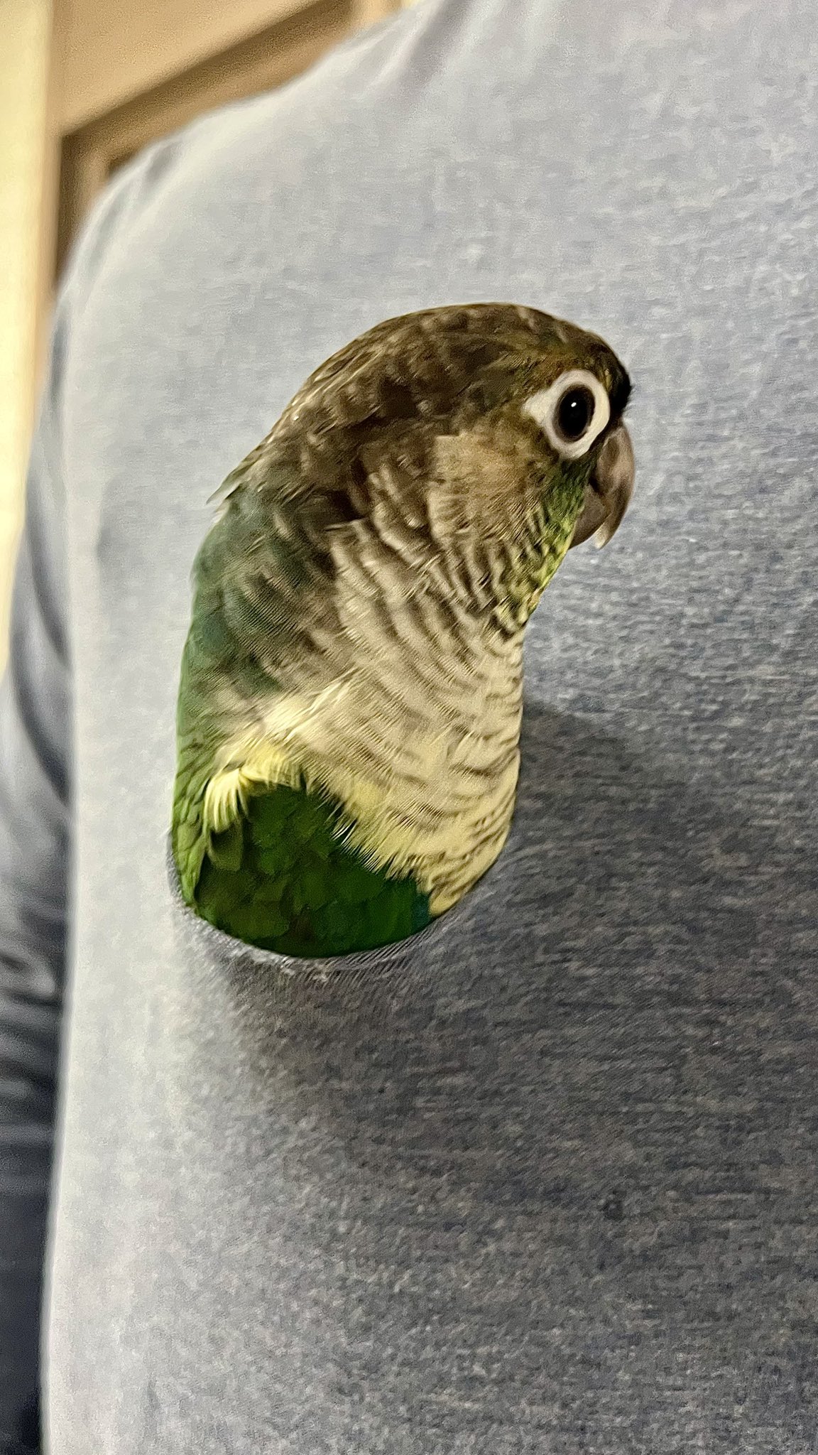 OWixBw