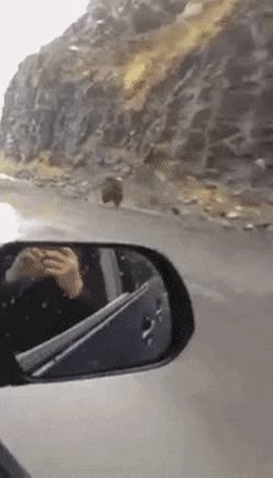 OXvPrT.gif