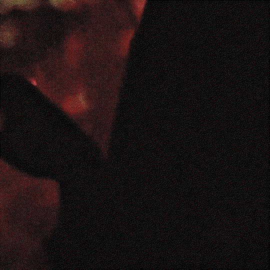 OYAive.gif