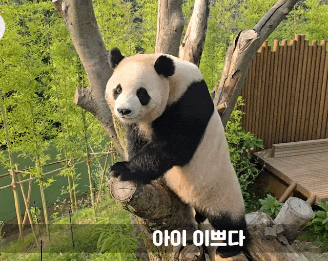 OZBqSN.gif