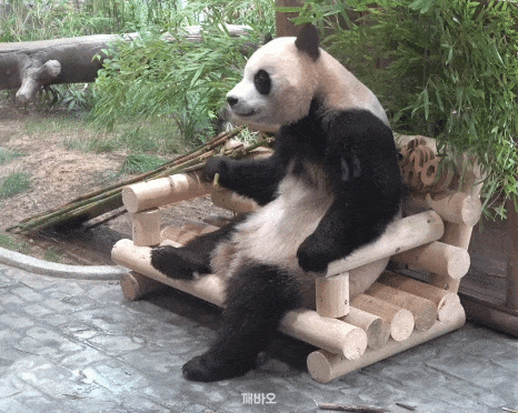 OZweCG.gif