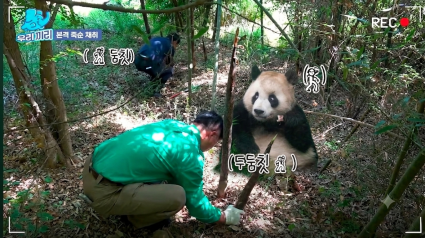 ObZwQK