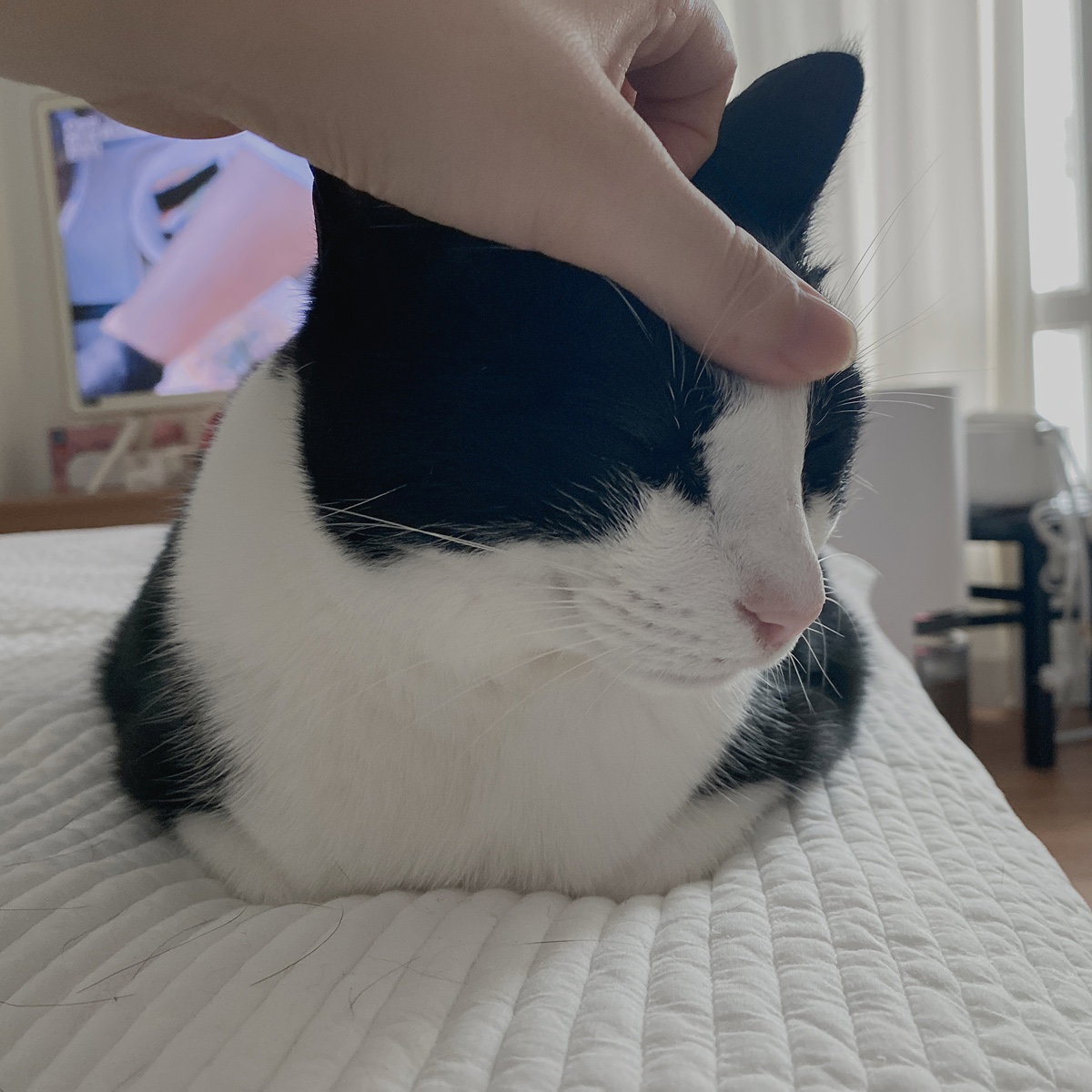 ObuBgn