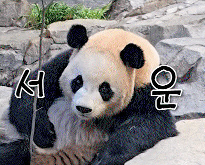 ObvqER.gif