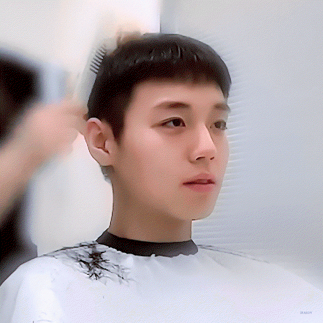 OcJPcP.gif