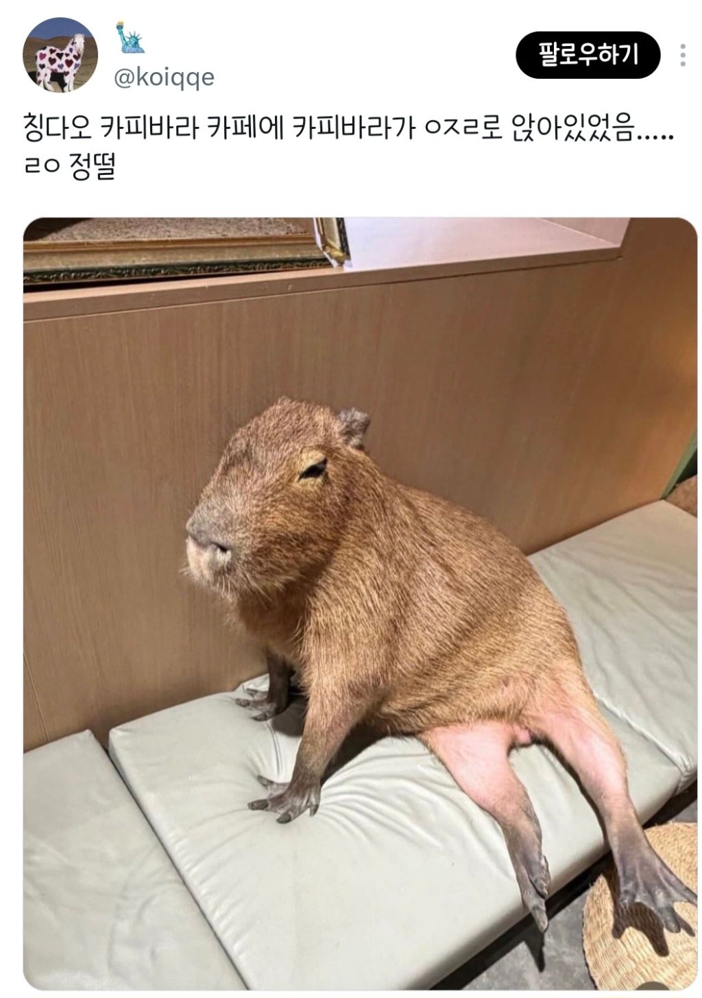 OdVbKO