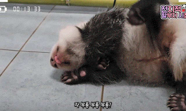 OeNvOS.gif