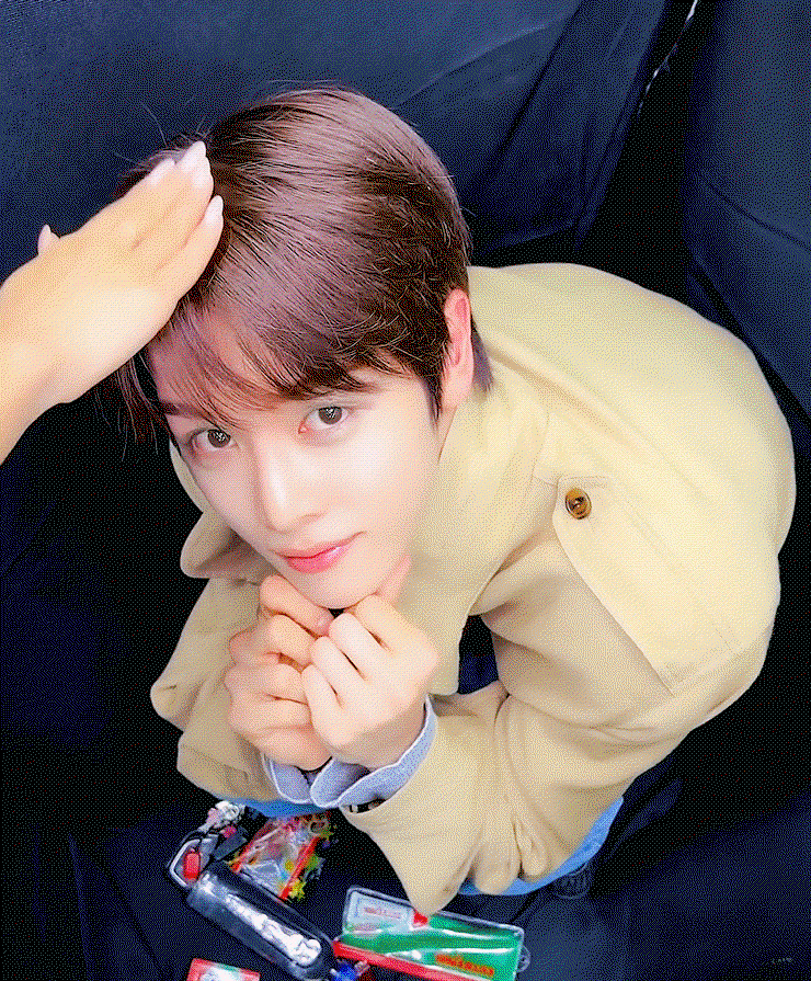 OfaBDT.gif