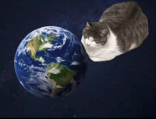 OfmmZN.gif