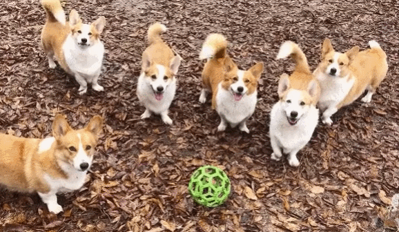 OixJIK.gif