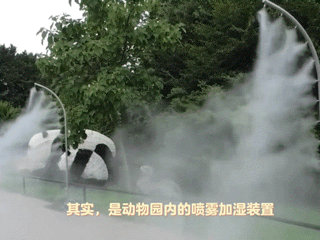 OjcOGF.gif