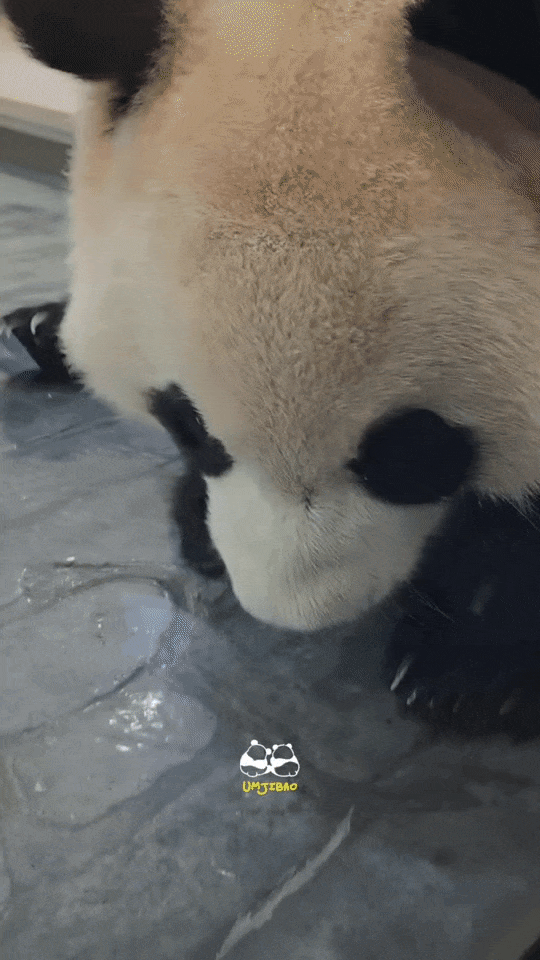 OkPHaN.gif