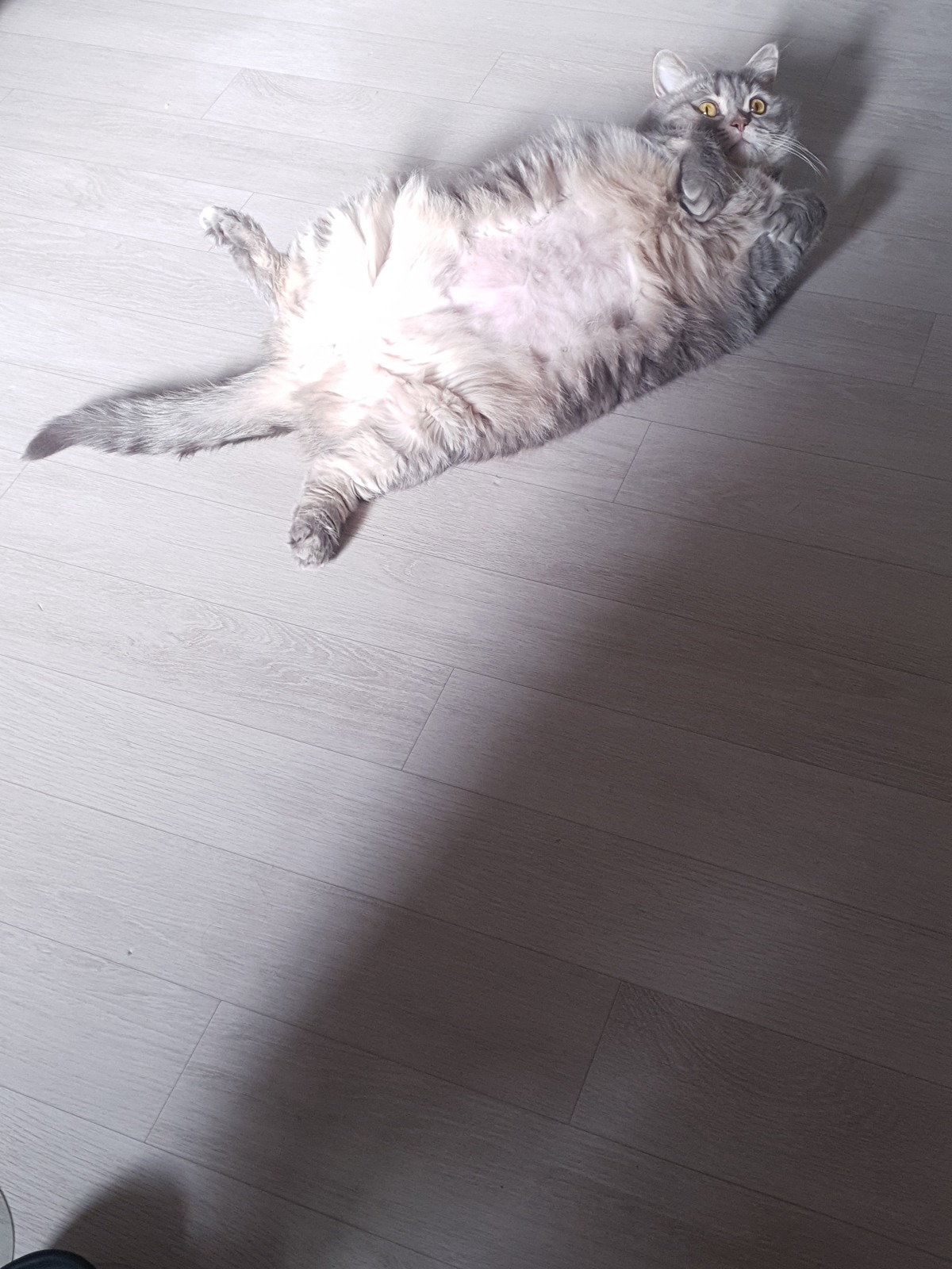 OkYSmW