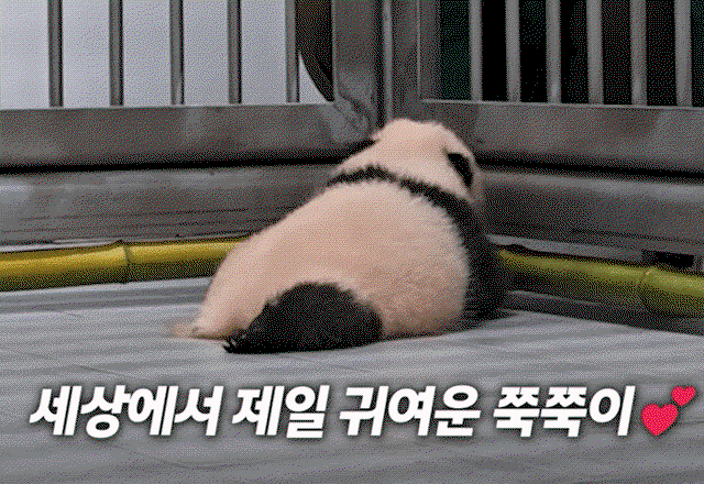 OktXAQ.gif