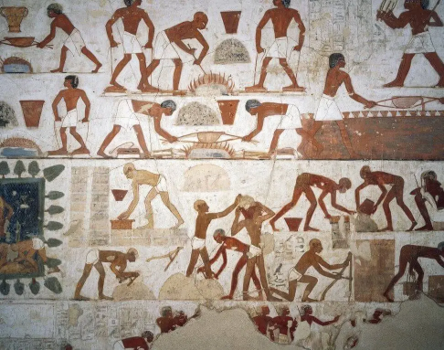 OmcZWV
