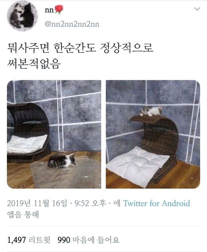 OqBdxK