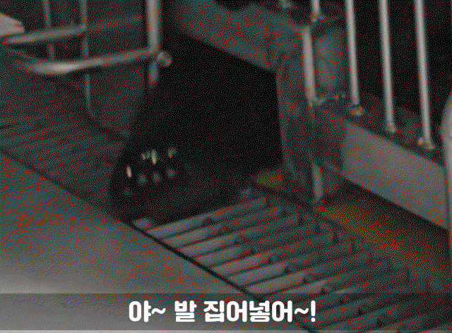 OtQsBK.gif