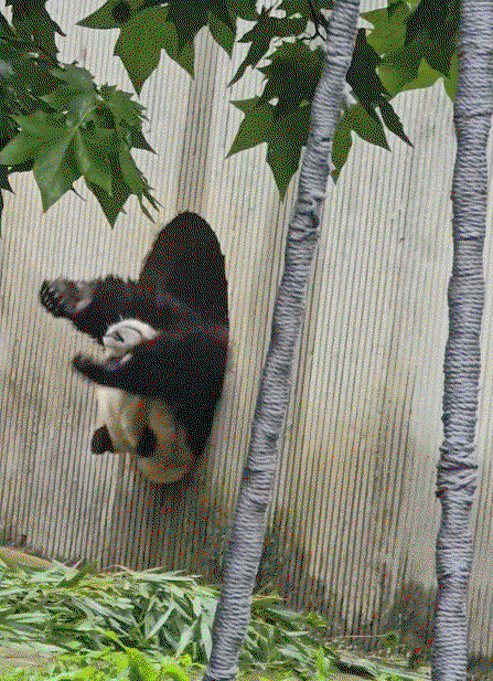 OtTyvW.gif