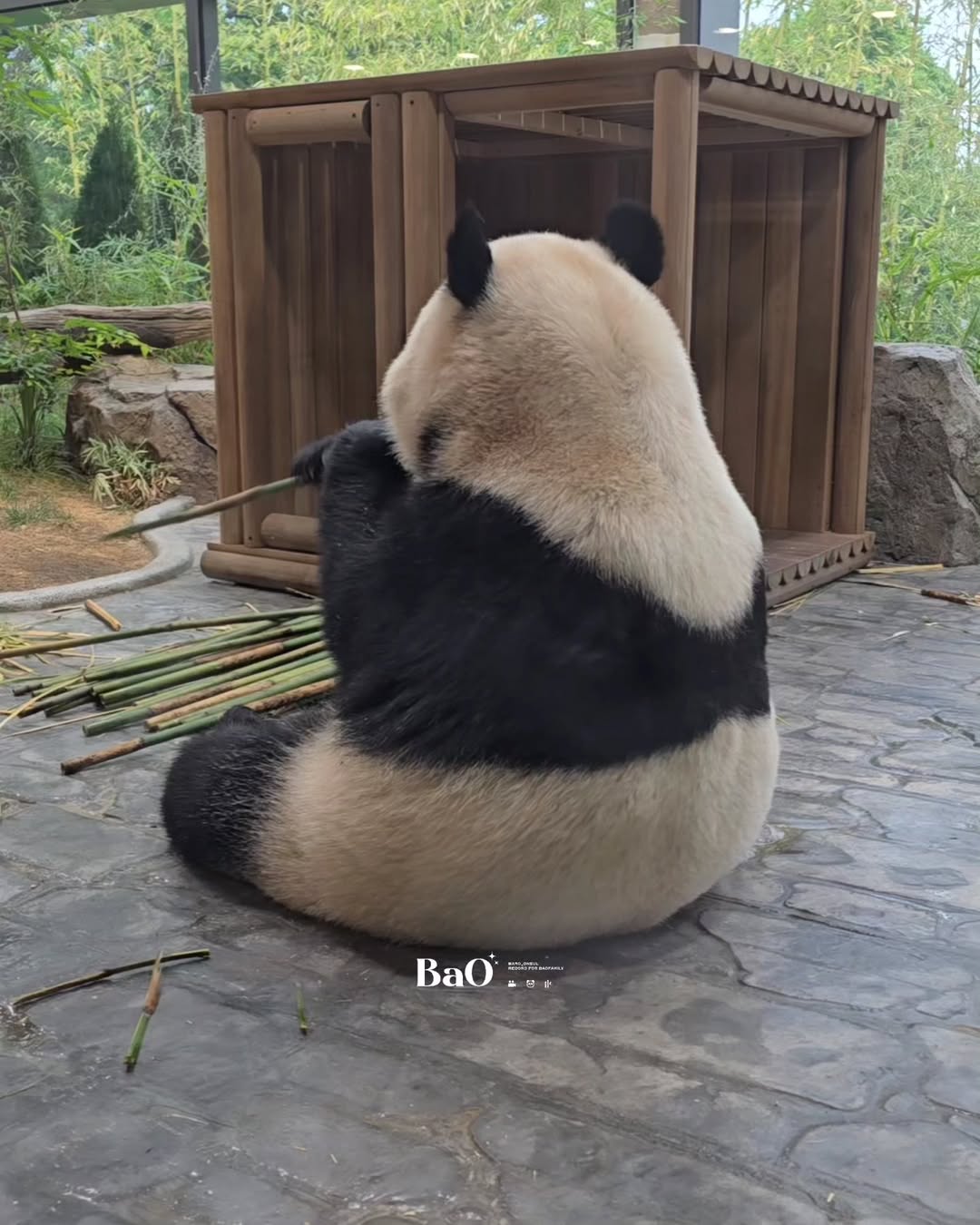 OupFft