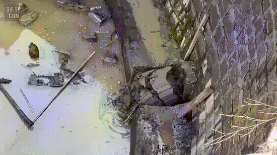 OvkQeP.gif