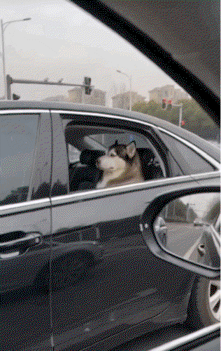 PBXgnW.gif