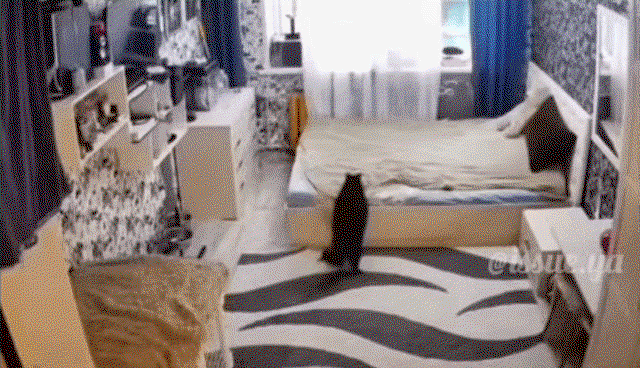 PBpdwh.gif