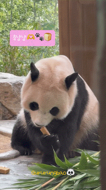 PDZHfJ.gif
