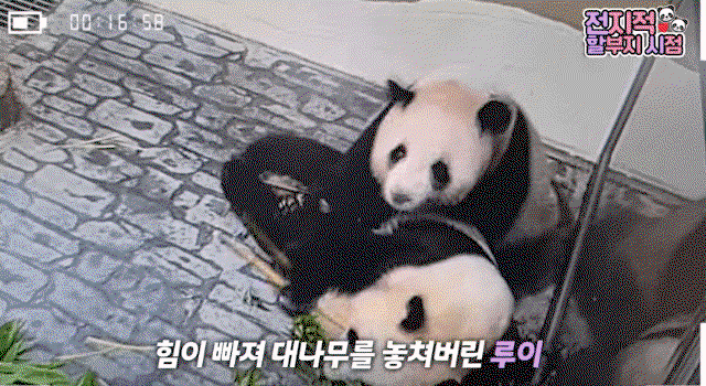 PHiufo.gif
