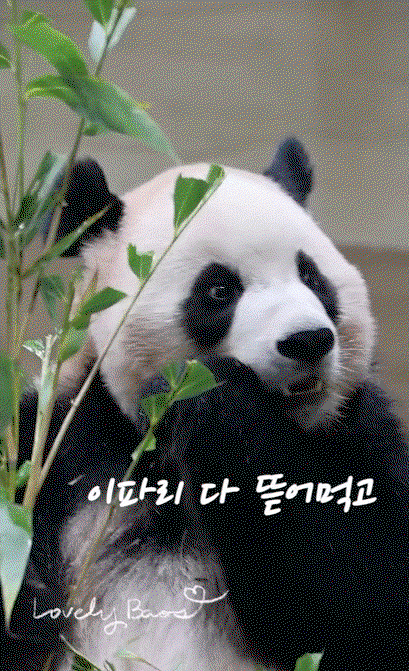 PJCeHU.gif