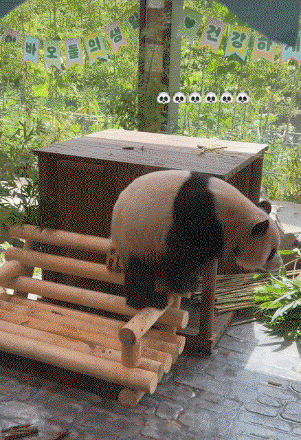 PLCaIR.gif
