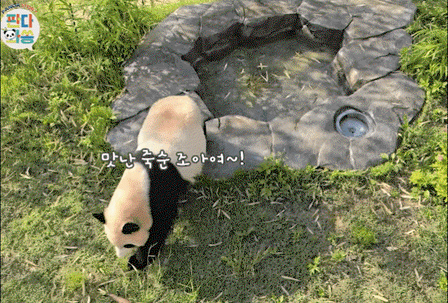 PQtAeb.gif